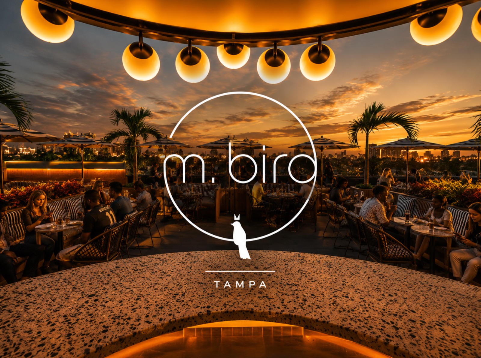M.Bird rooftop bar in Tampa at sunset, full tables under palm trees